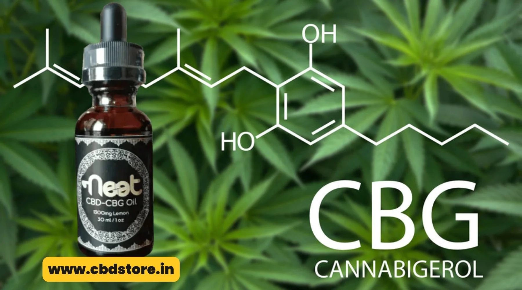 cbdcbgoil