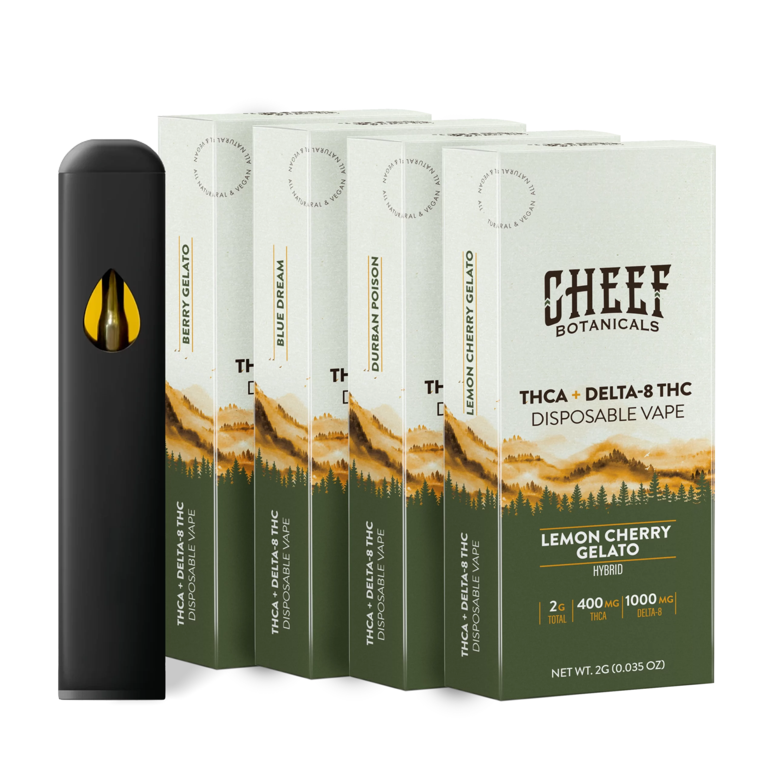 CBdisposableBoxMockupbundle-scaled CBdisposableBoxMockupbundle-scaled
