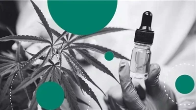 Hemp Vs CBD: Qhov txawv yog dab tsi?